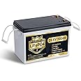PUPVWMHB Compact 24V 100Ah Lithium Battery, 24V 100Ah LiFePO4 Battery, Built-in 100A Low Temperature Protection BMS, Great for RV/Camper, Trolling Motors, Solar Off-Grid, Marine/Boat