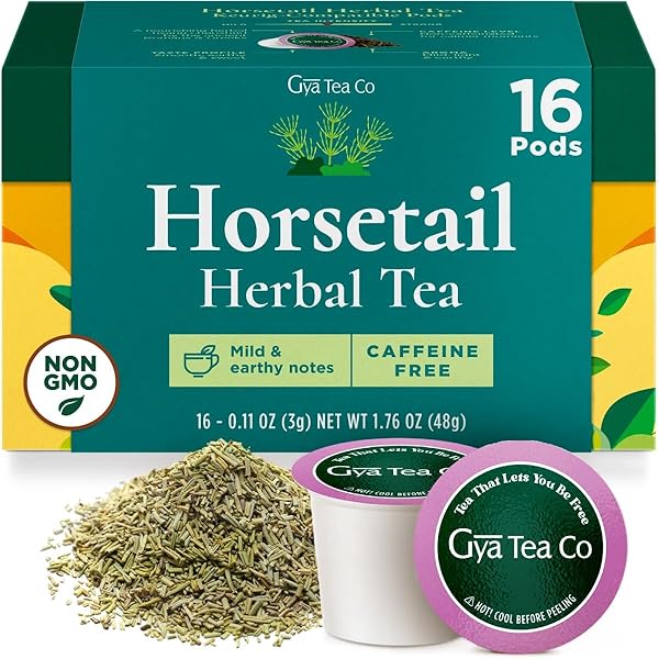 GYA TEA CO HORSETAIL HERBAL TEA POD (16 CT) – DECAF WELLNESS TEA RICH NUTRIENTS FOR HAIR CARE & DIGESTION HEALTH