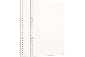 Zelten 2 Pack B5 120 Sheets/240 Pages Dotted Loose Leaf Punched Paper Refills Paper for 26 Hole Binder Personal Organizer Dia