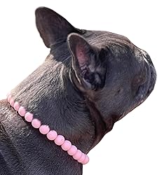 Dog Necklace (Large (21"), Solid, Light