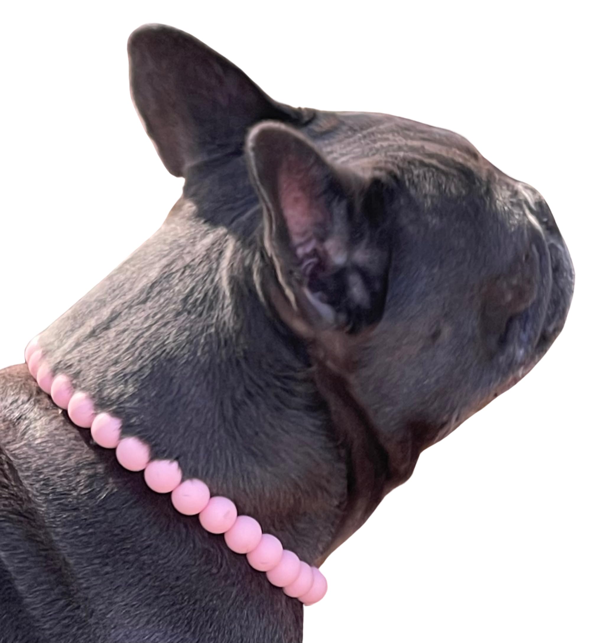 Dog Necklace (Large (21"), Solid, Light