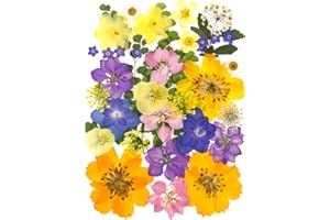 MIKIYA 34Pcs Pressed Dried Flowers for Resin, Assorted Real Natural Bulk Dry Leaves for DIY Art Crafts, Epoxy Molds, Jewelry, Soap, Candle Making, Nails Decors