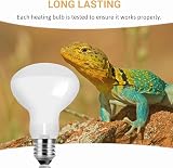 Caldarax 2 Pack 75W Reptile Heat Lamp E27 Daylight Bulb UVA Bearded Dragon view 6