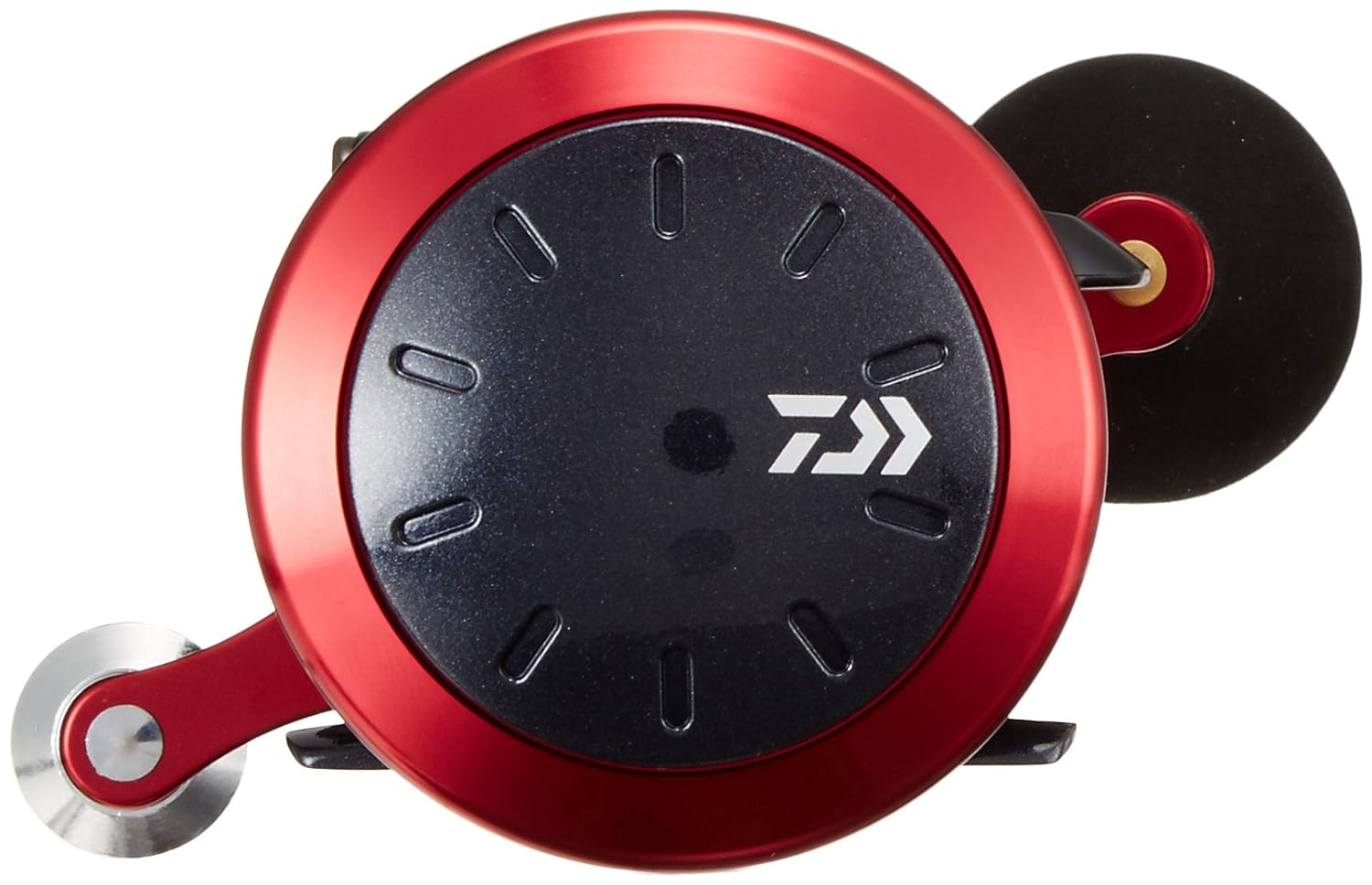 ダイワ Daiwa ベイトリール タコ釣りタイラバなど B01mzdxxk4 250 17ダイナスター ベイトリール 最も優遇