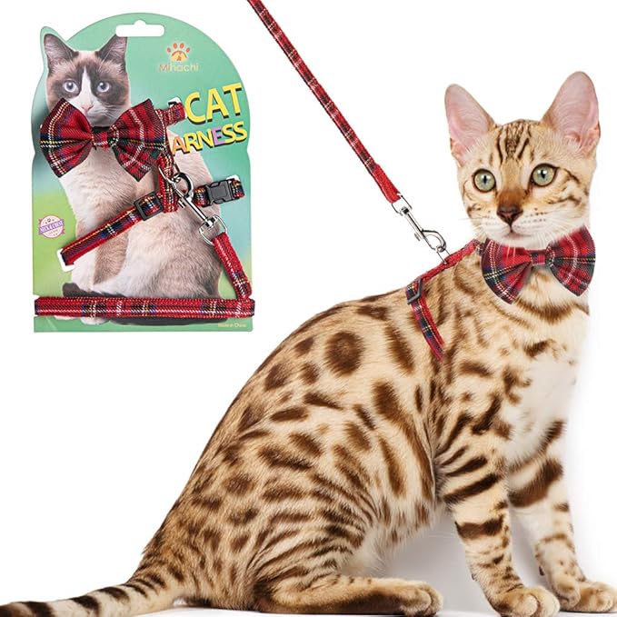 best cat harness amazon