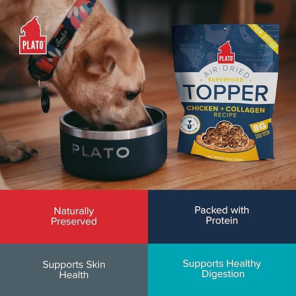 PLATO PET TREATS DOG FOOD TOPPERS – AIR-DRIED DOG FOOD TOPPERS FOR DRY FOOD – WITH COLLAGEN TO SUPPORT SKIN AND COAT HEALTH – CHICKEN AND COLLAGEN RECIPE 12OZ
