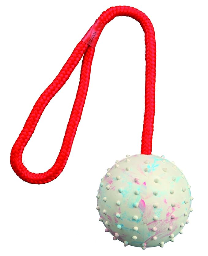 Ball on Rope Amazon.co.uk Pet Supplies