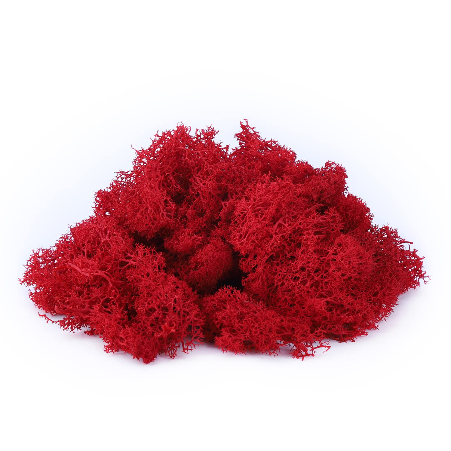 IHKFILAN Reindeer Moss 100 Gram Real Preserved Natural for Crafts, Decorative Easter Decoration, Model Making (Red, 3.5 OZ)