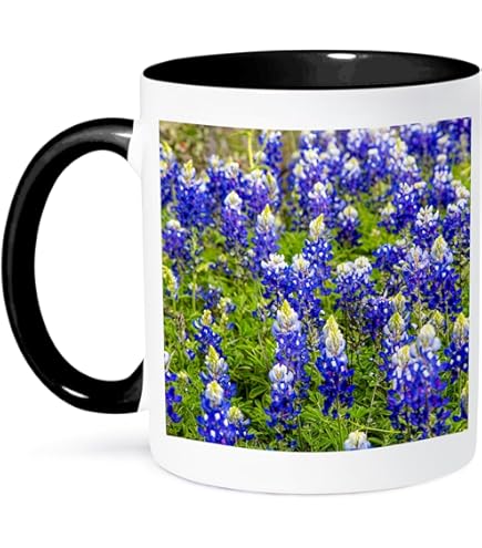 Texas Lone Star Coffee Mug - 11oz Two Tone Red Austin Texas Souvenir Mug