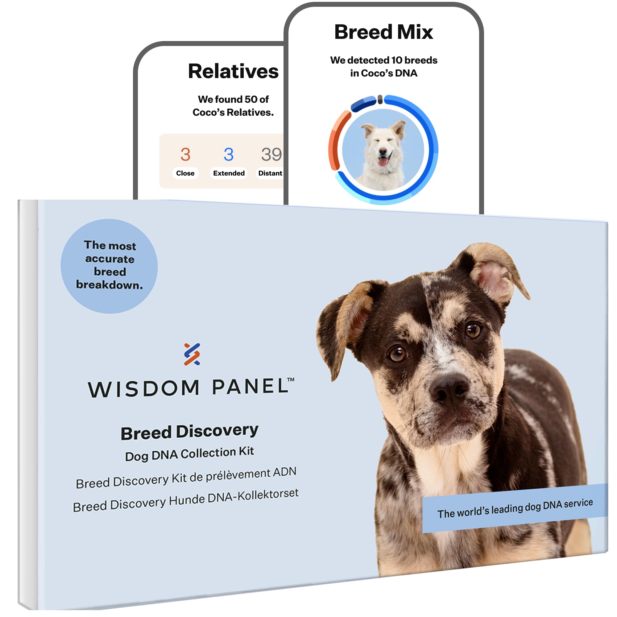 Wisdom Panel Dog Breed Detection DNA Test Kit - Accurate Breed ID MDR1 Pedigree Relatives
