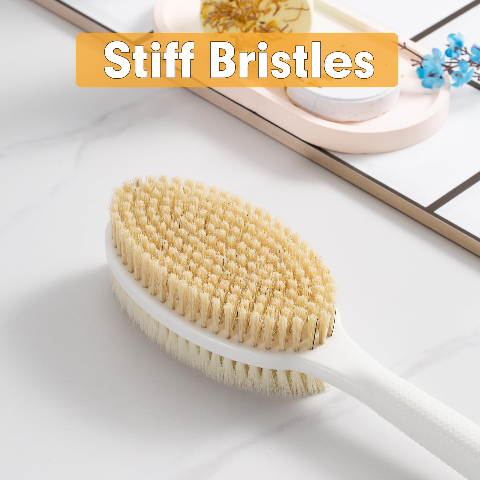 Backski Hand Held for Dry Brushing, Dry Brush for Lymphatic Drainage, Exfoliating Skin Brush with Soft and Stiff Bristles, 2-Pack Replacement Head for 19