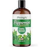 71elnChu+gL. AC UL160 SR160,160 Is Voodoo Legal? Understanding the Rights of Voodoo Practitioners