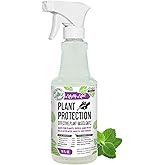 Mighty Mint Peppermint Oil Plant Protection Spray – Insect & Pest Control for Gnats, Spider Mites & Aphids – Plant-Based, Easy-to-Use - 16 oz