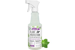 Mighty Mint Peppermint Plant Protection Spray for Insects, Gnats, Fungus, Mites, and Disease, 16 oz