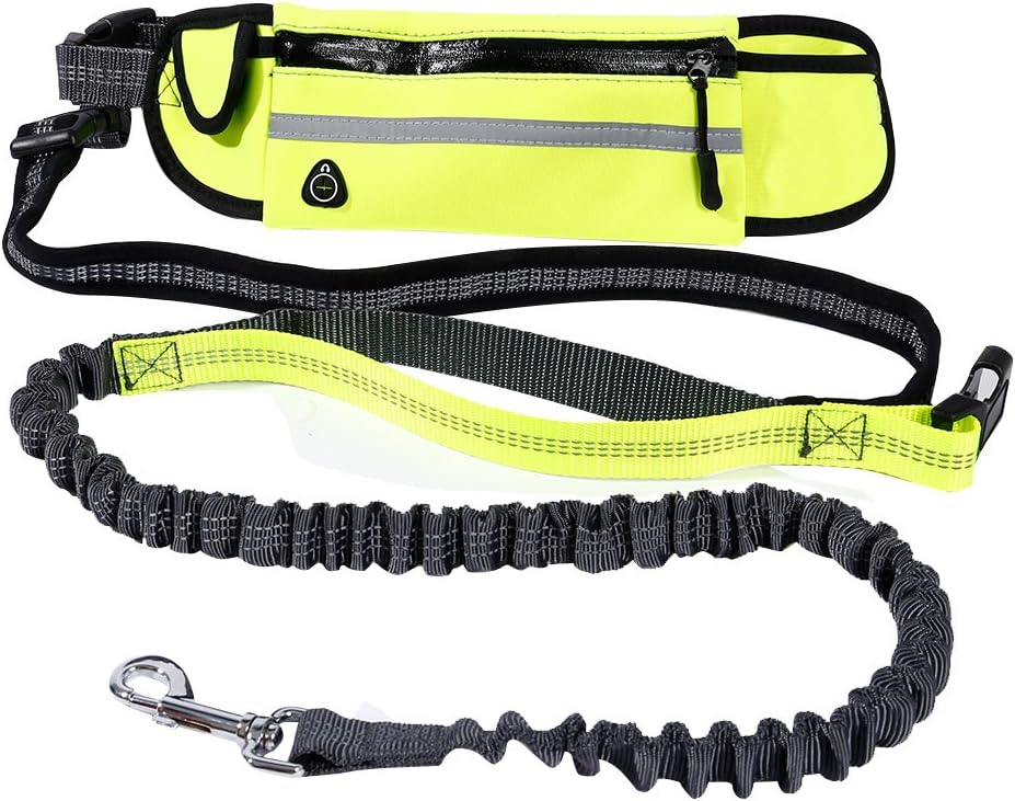 Lennystone Hands Free Dog Leash by Adjustable Leash and Belt for Running and Walking with Retractable Reflective Bungee cord and Pockets(Green)