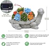 Goodeco Solar Turtle Garden Statue with LED Lights & Faux Succulents view 4