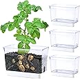 Oliz Self Watering Planters - 4 Pack Rectangular Clear Plant Pots with Drainage Holes for Indoor Plants