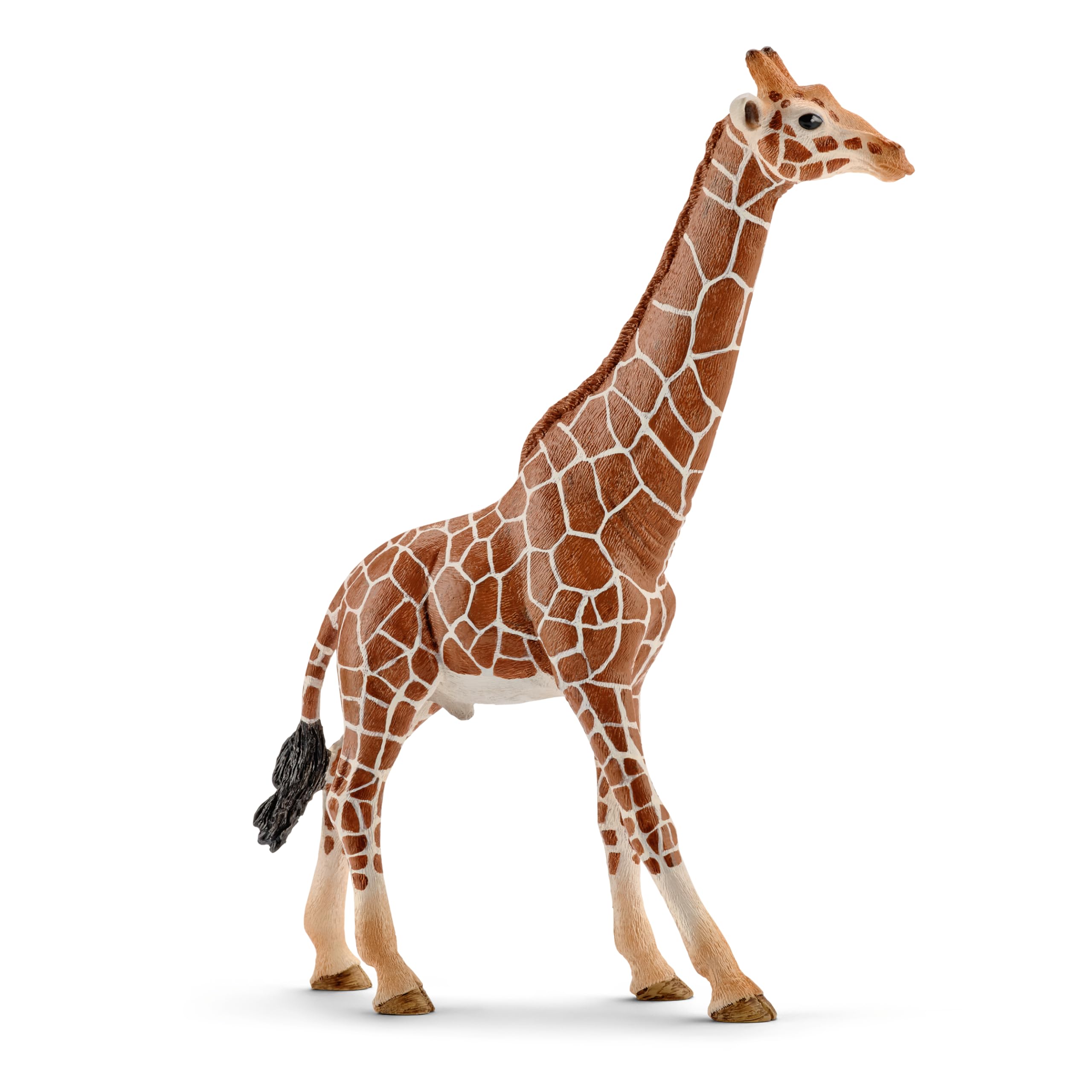 SCHLEICH Wild Life 14749 Male Giraffe Animal Figurine - Authentic Detailed Wild Male Giraffe Toy Education, Imagination, and Play - Highly Durable Animal Toys Gift for Boys, Girls, Kids Ages 3+