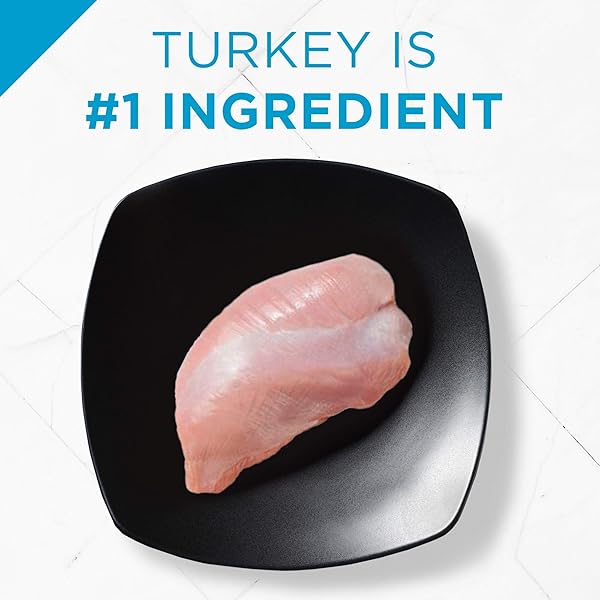 PURINA PRO PLAN FOCUS INDOOR CARE TURKEY RICE DRY ADULT 11+ CAT FOOD (7 LB)