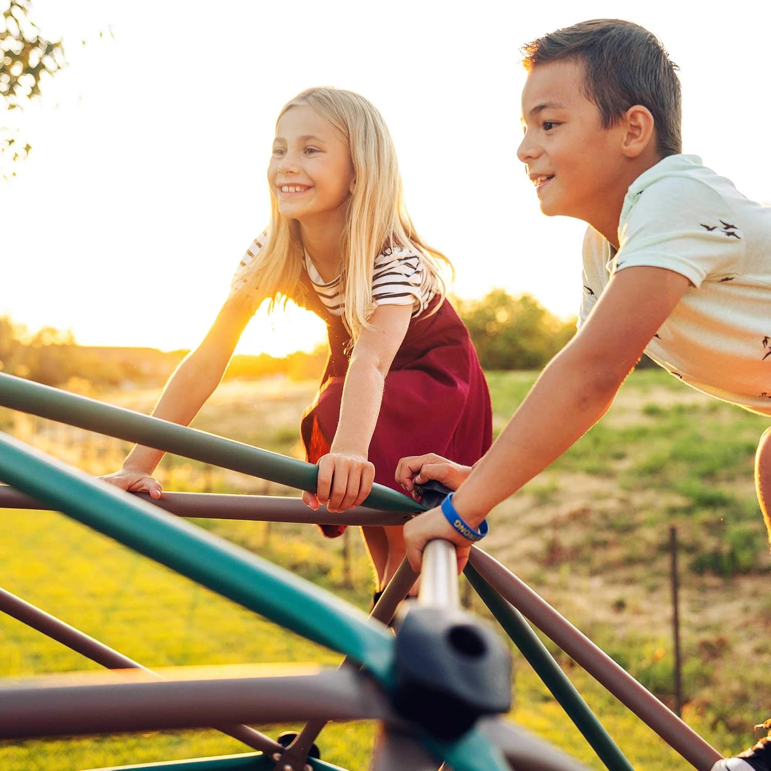 Lifetime Geometric Dome Climber Play Center : Sports & Outdoors