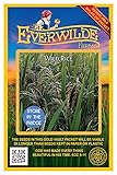 Everwilde Farms - 50 Wild Rice Native Grass Seeds