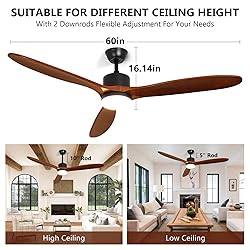 Depuley 60" Ceiling Fan with Light,Indoor Outdoor