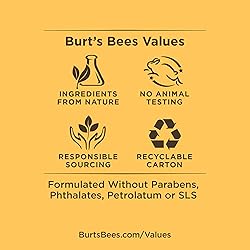 BURTS BEES Guava Meringue Color Nurture Cream