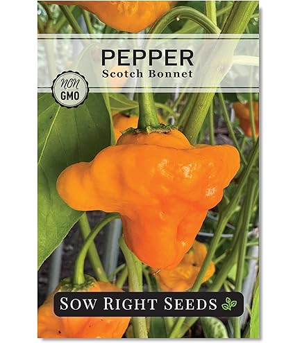 Amazon.com : Generic Mesilla Hot Peppers Seeds (45 Seeds) : Patio