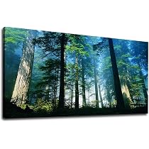 Tableau Toile Picanova – Forêt De Montagne – 40x30 Cm – Art Mural Sur Bois – Décoration Nature