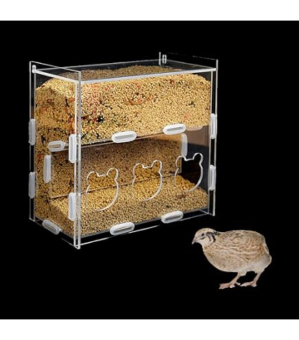 Lot De 4 Mangeoires à Cailles Transparentes - Pour Poussins, Petits Oiseaux Et Poulets - 4 Trous En Forme D'Ours
