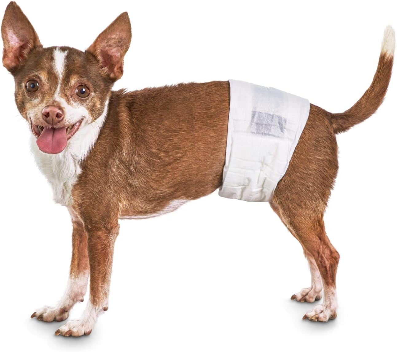 so phresh disposable male dog wrap