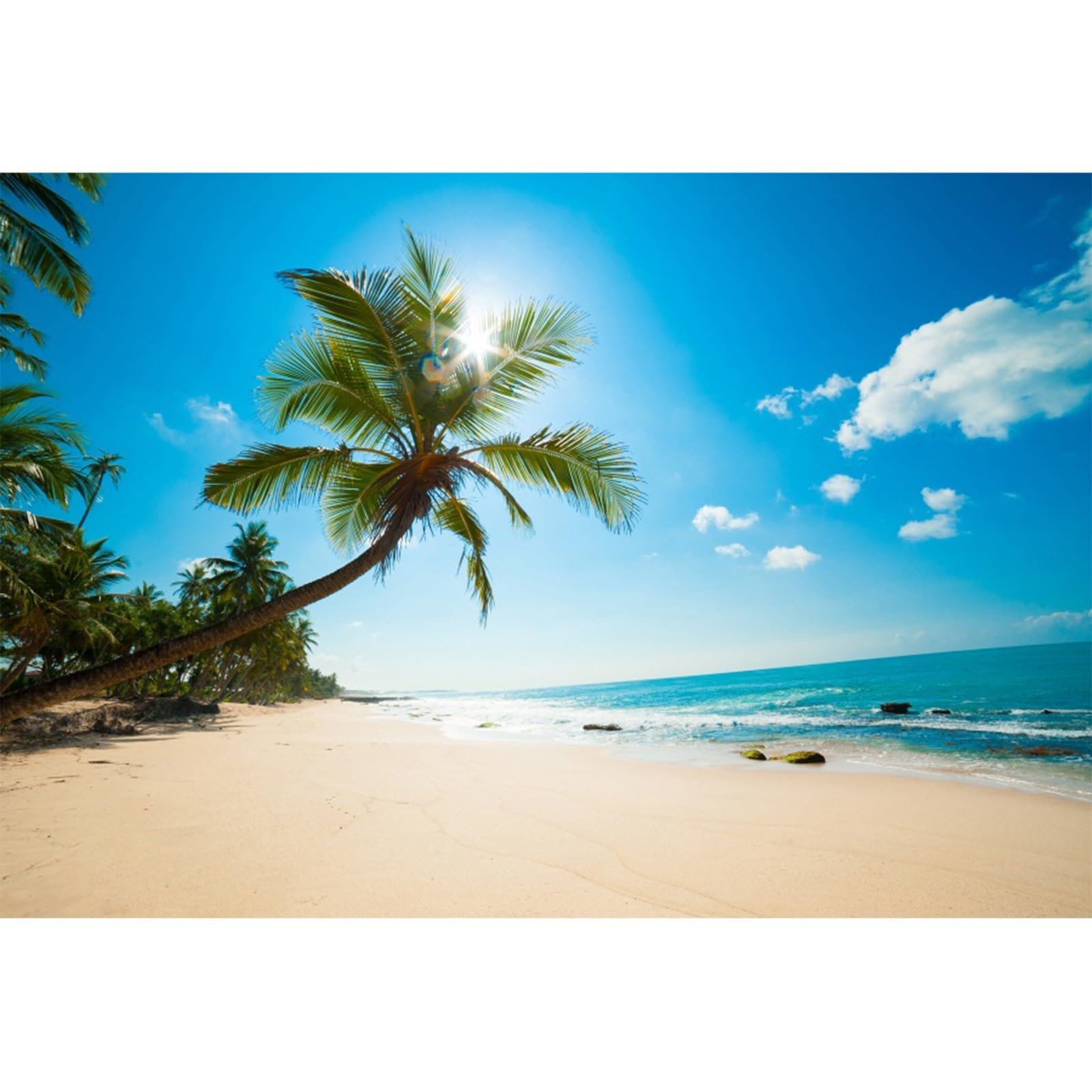 YongFoto 4x3m Vinyl Beach Photo Backdrop Seaside Blue Sky White Clouds Palm Tree Beach Backdrop for Photography Party Hawaiian Luau Scene Setters Personal Portrait Photo Background Studio Props