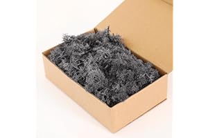 Dallisten Moss Preserved, Craft Reindeer Green Decorative Moss for Enchanted Forest Decorations, Fairy Garden, Party, Art Wall, Indoor Potted Plants,Table, Terrariums, Bonsai Decor (Grey,3.6OZ)