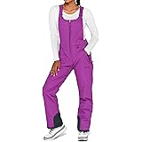 Womens Essential Insulated Bib Overalls