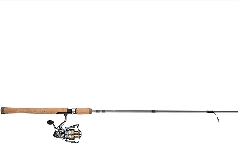 best rod for pflueger president reel