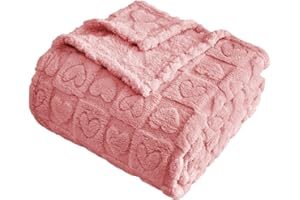 FY FIBER HOUSE Throw Blankets with Heart Checkered,Soft Warm Blankets for Lover Mom Father Gifts,Washable Lightweight Fuzzy Blanket for Couch Sofa Bed Office All Season(Pink,60"x80")