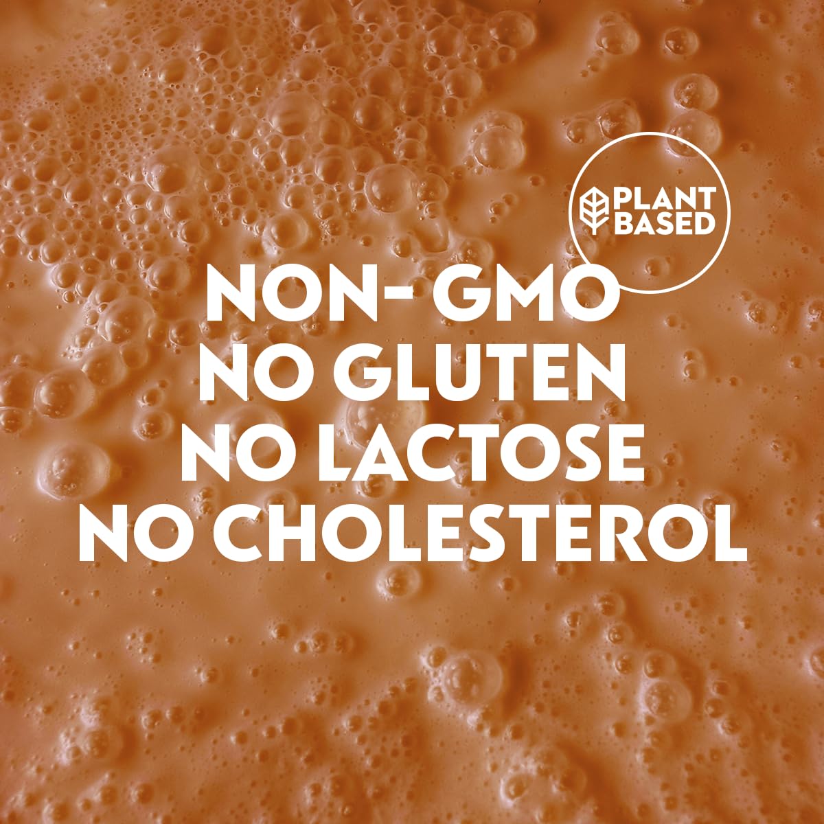 NotMilk Chocolate Plant-Based Milk Alternative, 33.8 Fl Oz (Pack of 6) - Shelf-Stable, Lactose-free, Vegan, Non-GMO