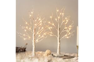 Vanthylit White Birch Tree with LED Lights - Set of 2, Tabletop Tree with Timer, Christmas Decorations Lighted Tree for Indoor Mantel Home Decor (2 FT, 24 LED)