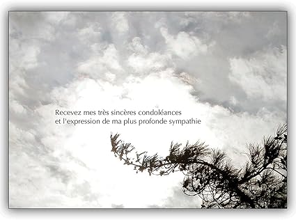 Biglietti Di Auguri Con Sconto Quantita Recevez Mes Tres Sinceres Condoleances Francese Trauer Slot Con Cielo 4 Grusskarten Amazon It Cancelleria E Prodotti Per Ufficio