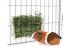 Hypeety Rabbit Hay Feeder Guinea Pig Hay Holder Plastic Automatic Hay Rack Cage Accessories for Bunny Guinea Pig Chinchillas Small Animals (White)