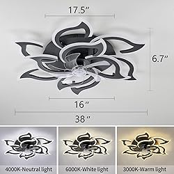 haodengshi Geometric Ceiling Fan with