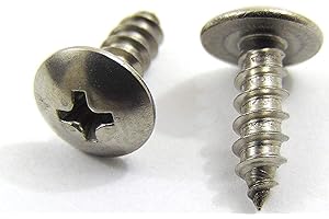 Bolt Dropper No. 6 x 1/2" Stainless Truss Head Phillips Wood Screw, (100 pc), 18-8 (304) Stainless Steel Sheet Metal Screws, Type A Point, Plain Finish by Bolt Dropper