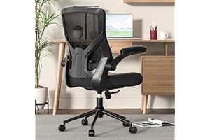 Ergonomic Mesh Desk Chair with Adjustable Lumbar Support, Breathable Backrest & Flip-Up Armrests for Home Office