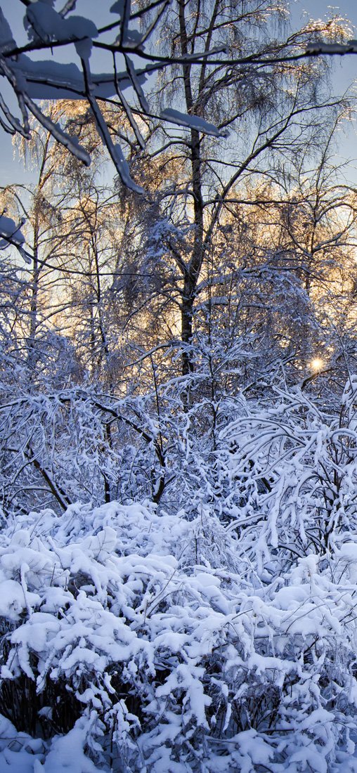 PeelitStickit Mural, Beautiful Nature Wall MuralsID-4218, vinyl