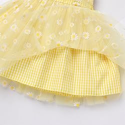 Flower Girls Dress for Baby Girls, Sleeveless