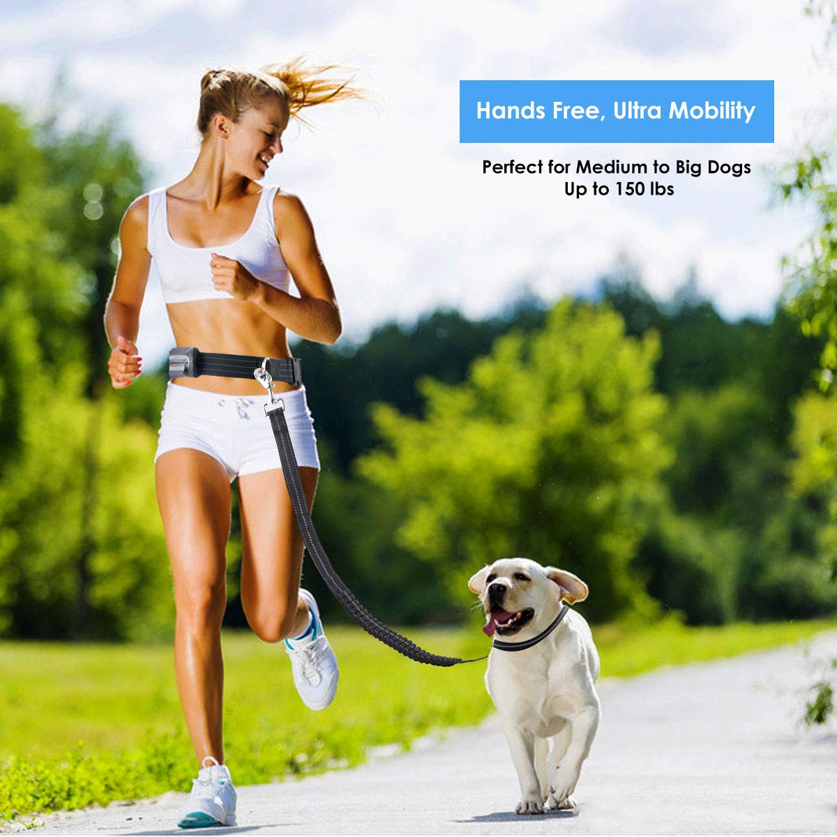 JolyJoy Hands Free Dog Leash with Adjustable Waist Bag, Shock Absorbing Bungee Leash for Dogs up to 150lbs, Reflective Running Belt with 2 Pockets For Dog Walking, Jogging - Bonus Collapsible Pet Bowl