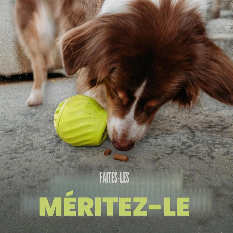 Pawbler Jouet pour Chien, Distributeur de friandises, M/L