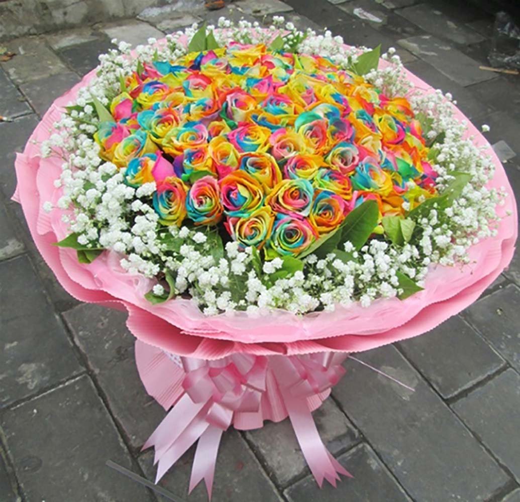 Onbio 500Pcs/Pack Colorful Rose Seeds Perennials Beautiful Flowering Rose Bonsai Plant Seeds Home Garden