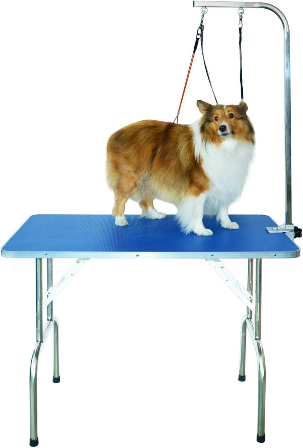 Gravitis Pet Supplies Professional Dog Grooming Table