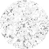 Hemway Glitter Shaker White Iridescent 110g - Super Chunky Craft Glitter view 2